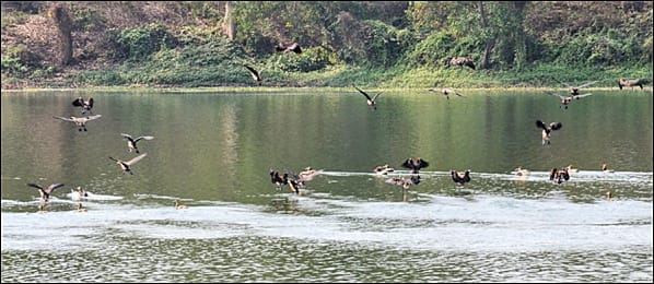 प्रधानमंत्री ने 30 बंजर भू-क्षेत्रों को सुंदर ईको-पर्यटन गंतव्यों के रूप में परिवर्तित करने की सराहना की