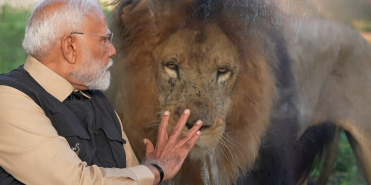 पीएम मोदी ने गुजरात में किया ‘वनतारा’ का उद्घाटन, जानें इस वन्यजीव बचाव केंद्र की खासियत.?