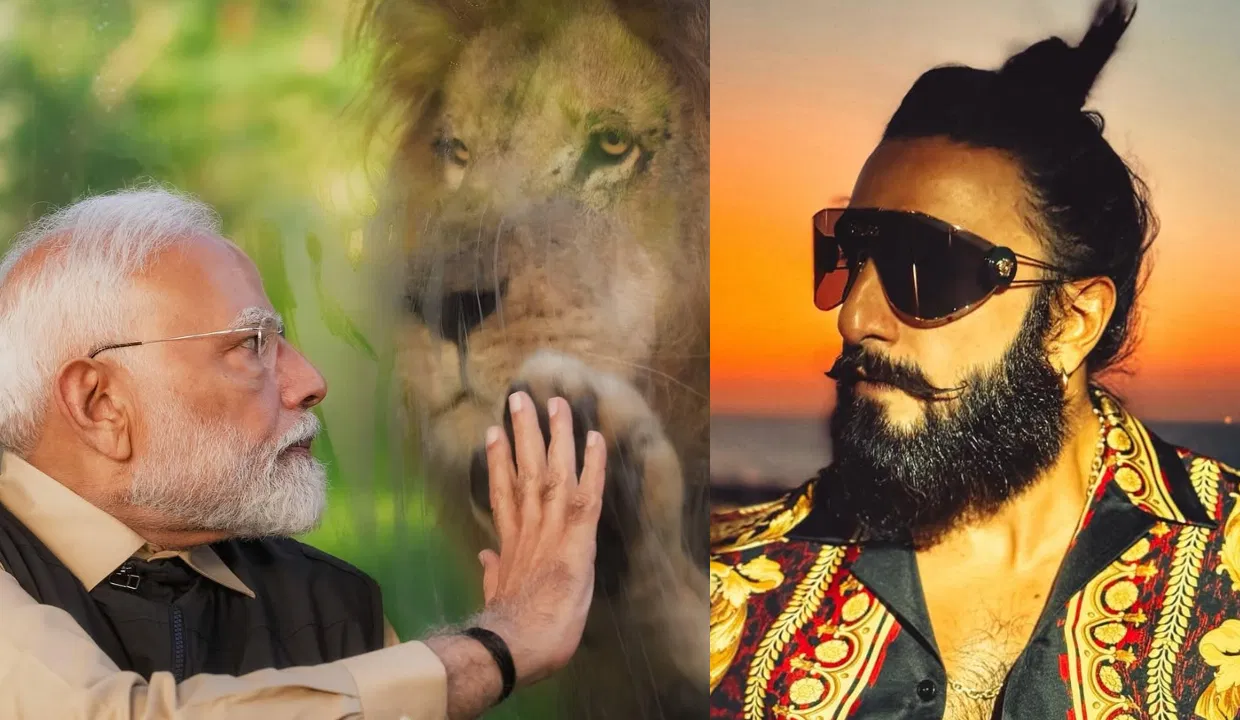 जंगल का राजा… शेर के साथ सामने आई पीएम मोदी की तस्वीर तो क्या बोले रणवीर सिंह, दिया ये रिएक्शन