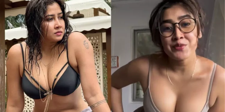 एक्ट्रेस ने फिर लगाया हॉटनेस का तड़का, सोफिया अंसारी ने शेयर किया ऐसा वीडियो, फैंस बोले- हमें सिर्फ ये चाहिए