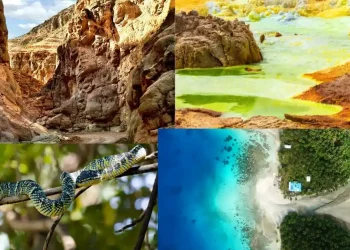 यहां गए तो आफत में पड़ जाएगी जान, ये है दुनिया की 5 सबसे खतरनाक जगहें, भारत की भी एक जगह शामिल