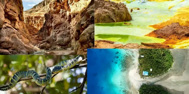 यहां गए तो आफत में पड़ जाएगी जान, ये है दुनिया की 5 सबसे खतरनाक जगहें, भारत की भी एक जगह शामिल