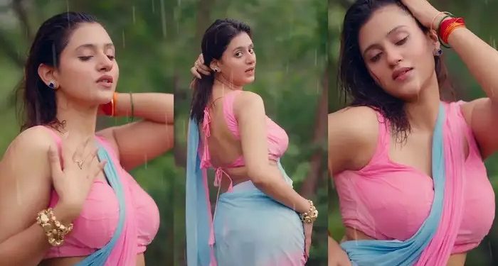 गुलाबी साड़ी और भीगे बदन के साथ अंजलि अरोरा ने लगाई आग, लोग बोले- ये बेहूदा है