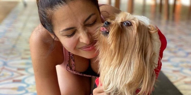 ट्रोलर्स ने कहा बुढ़िया तो दुखी हुईं मुन्नी, मलाइका अरोड़ा का छलका दर्द, जानिए क्या कहा.?