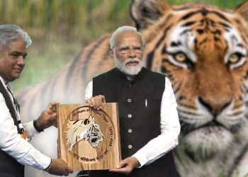 पीएम मोदी का इंटरनेशनल बिग केट एलायंस: नेपाल समेत 90 देश बने सदस्य, मिलेगा ये  फायदा