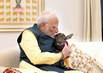 वो गाय को जानवर नहीं मानते… पीएम मोदी ने कसा एनिमल लवर्स पर तंज, जानिए क्या कहा.?