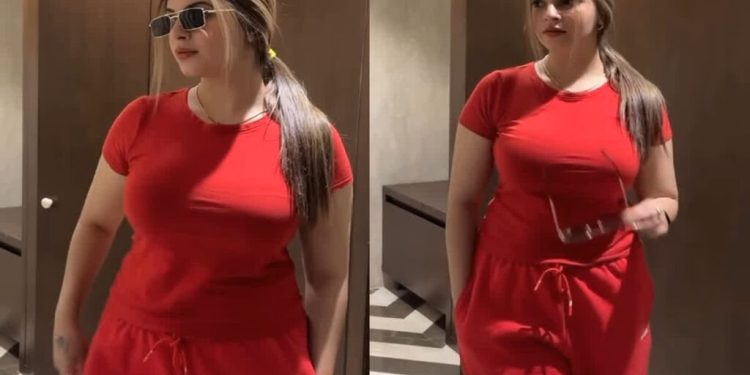 पंजाबी मॉडल का अश्लील VIDEO वायरल, एक्ट्रेस ने पति पर लगाए आरोप कहा. नशे में..!