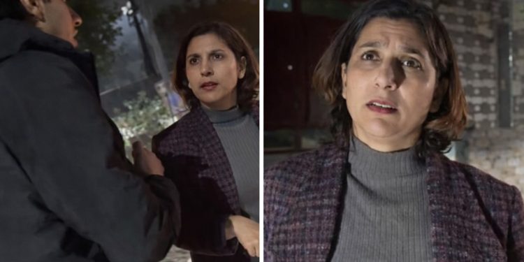 जाट हूं, खड़े-खड़े खरीद दूंगी… गाजियाबाद में महिला की दबंगई का वीडियो वायरल, इस तरह करने लगी गुंडई