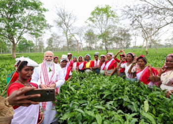 मैं भी चाय वाला हूं…डिब्रूगढ़ के चाय बागान पहुंचे पीएम मोदी, महिलाओं के साथ बिताया वक्त, कहा- मेरे गांव तक पहुंचती है आपकी मेहनत