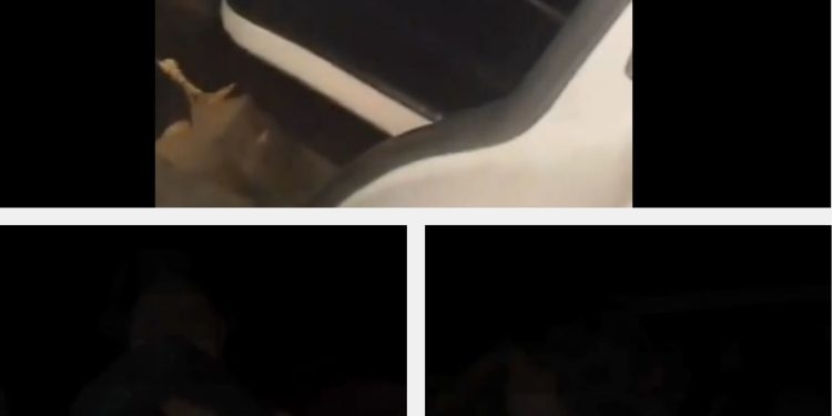 कॉलेज की लड़की के साथ आपत्तिजनक हालत में पकड़ाया टीचर, आधी रात कार की पिछली सीट पर मिले, CG का केस