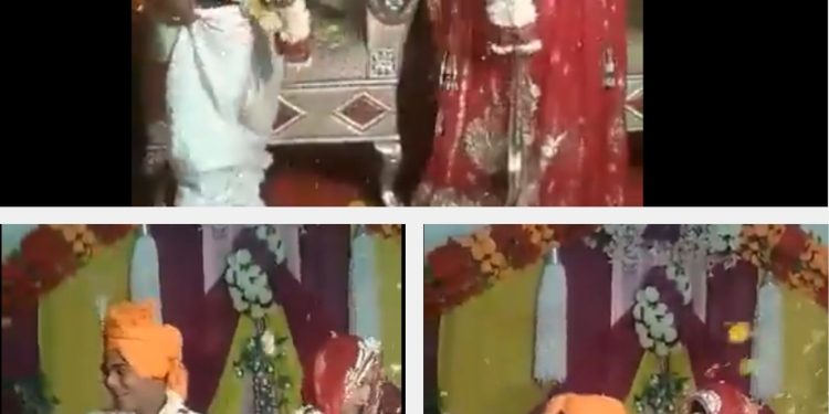वरमाला में दूल्हे के साथ हुआ बड़ा कांड, स्टेज पर खुल गया पायजामे का नाड़ा.. हंस-हंसकर पागल हुई दुल्हन, VIDEO
