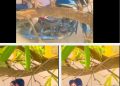 गली में रोमांस कर रहे थे गर्लफ्रेंड-बॉयफ्रेंड, चुपके से किसी ने बना लिया VIDEO, फिर..!