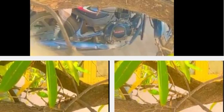 गली में रोमांस कर रहे थे गर्लफ्रेंड-बॉयफ्रेंड, चुपके से किसी ने बना लिया VIDEO, फिर..!