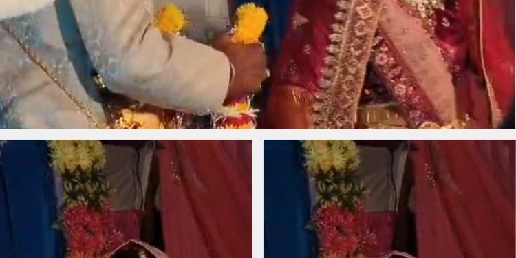 आशिक को देख शादी के स्टेज से दौड़ी दुल्हन, दूल्हे के सामने बॉयफ्रेंड के गले में डाली वरमाला, MP का ये मामला चौंका देगा, VIDEO