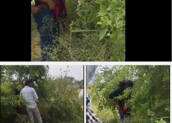 जंगल में मिल रहे थे गर्लफ्रेंड-बॉयफ्रेंड… बिना कपड़ों के गांववालों ने पकड़ा,  मौके पर हुआ जमकर हंगामा