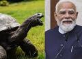 सेशेल्स में PM मोदी ने कछुओं को खिलाईं पत्तियां, राष्ट्रपति पैट्रिकके साथ नारियल पानी पिया, मिला गार्ड ऑफ ऑनर