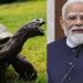 सेशेल्स में PM मोदी ने कछुओं को खिलाईं पत्तियां, राष्ट्रपति पैट्रिकके साथ नारियल पानी पिया, मिला गार्ड ऑफ ऑनर