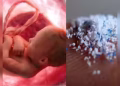 Microplastics vs Fertility: इस वजह से आपके घर में पैदा नहीं हो रहे बच्चे, पुरुषों और महिलाओं में लगातार बढ़ रहा बांझपन