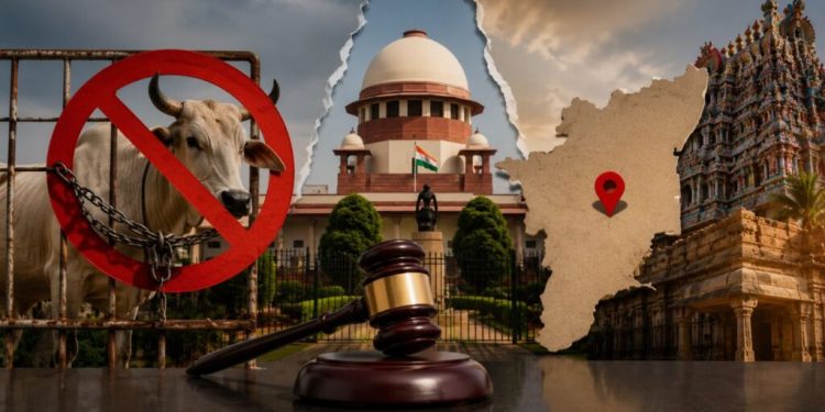 गो हत्या बैन के आदेश पर रोक, सुप्रीम कोर्ट ने सुनाया बड़ा फैसला, कहा- इसमें सुधार की जरूरत