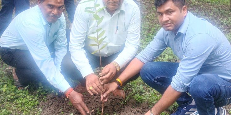भोपाल के वार्ड 85 में रजिस्ट्रार सत्य प्रकाश बड़गैंया ने कराया 200 पौधों का रोपण, अधिकारियों और कर्मचारियों के साथ मिलकर बढ़ाई हरियाली