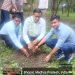 भोपाल के वार्ड 85 में रजिस्ट्रार सत्य प्रकाश बड़गैंया ने कराया 200 पौधों का रोपण, अधिकारियों और कर्मचारियों के साथ मिलकर बढ़ाई हरियाली