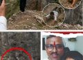 Chhatrapati Sambhajinagar iPhone EMI Dispute: आईफोन दिला देंगे, नीचे आ जा… पहाड़ी से कूदा बेटा, बचाने में पिता गिरे फिर मां ने भी लगाई छलांग, उजड़ा परिवार