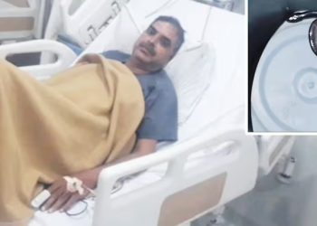 MP News: बिस्तर में छिपा था सांप… पुलिस हेड कांस्टेबल को 2 बार डंसा, AI की मदद से बची जान, एमपी के इस जिले का केस