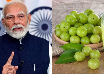PM मोदी ने बताए आंवले के गुण, विटामिन C का पावरहाउस, विटामिन A का खजाना, जानिए खाने का सही तरीका