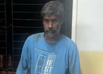 बई में 20 बिल्लियों को मारने वाला आरोपी गिरफ्तार, पुलिस ने रखा था ₹50 हजार का इनाम, इस वजह से की थी हत्याएं