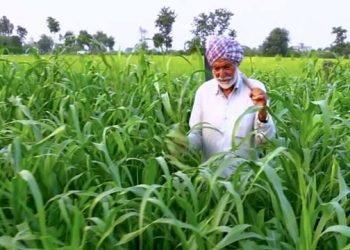 खेत में सही से नहीं हो रही पैदावार, तो सरकार की ये स्कीम आएगी काम, होगा बंपर फायदा