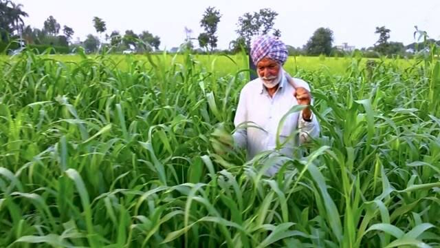 खेत में सही से नहीं हो रही पैदावार, तो सरकार की ये स्कीम आएगी काम, होगा बंपर फायदा