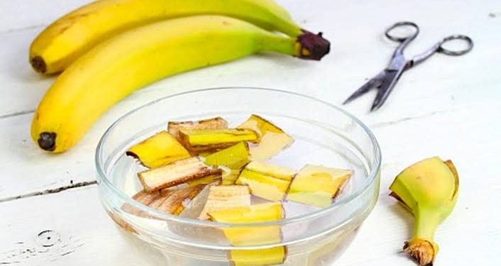 Banana Peel Uses:केला खाकर छिलके फेंक देते हैं? इकट्ठा कर ऐसे करें इस्तेमाल, घर के इन 5 कामों में आएंगे काम